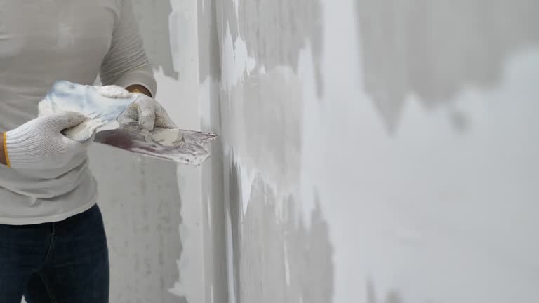 Best Fire-Damaged Drywall Repair  in South Beloit, IL