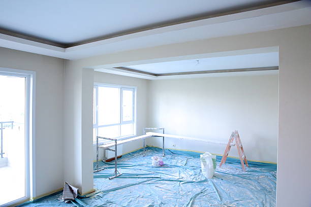 Best Commercial Painting  in South Beloit, IL